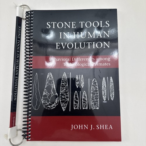 Stone tools human evolution - in,